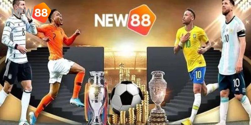 NEW88 - Kênh thể thao uy tín của mọi nhà