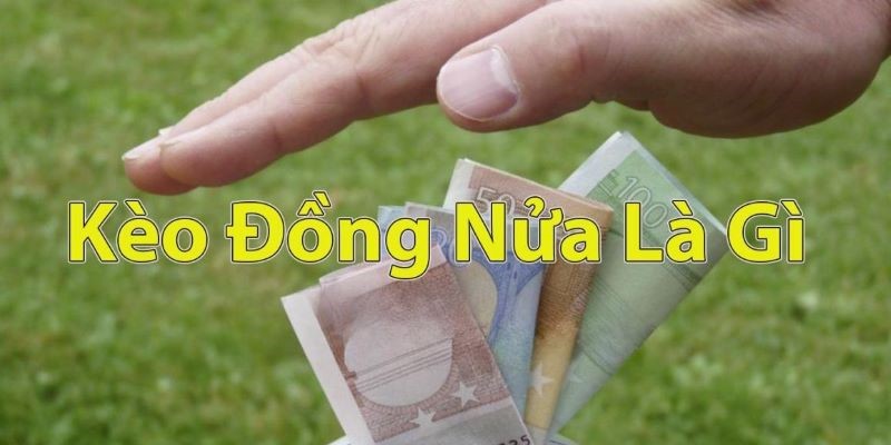 Kèo đồng nửa Tìm hiểu chi tiết về loại kèo phổ biến trong cá cược bóng đá