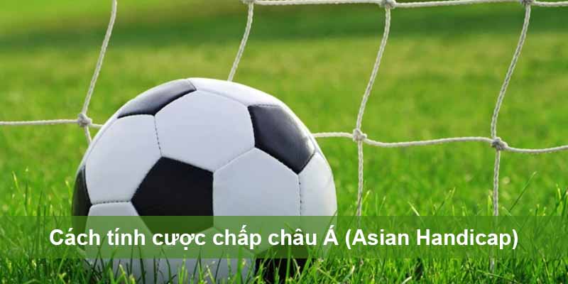 Cách tính cược chấp châu Á (Asian Handicap)