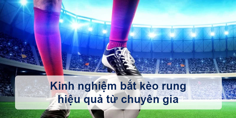 Kinh nghiệm bắt kèo rung hiệu quả từ chuyên gia