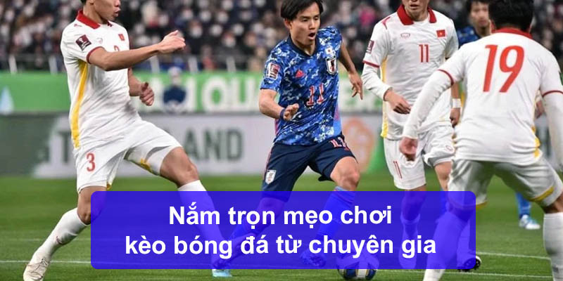 Nắm trọn mẹo chơi kèo bóng đá từ chuyên gia